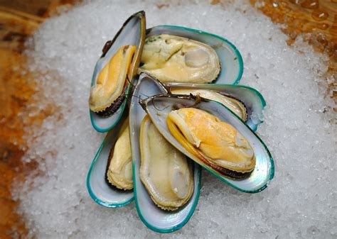Half shells - Half Shell Oyster House Madison, MS, Madison, Mississippi. 4,162 likes · 22 talking about this · 6,637 were here. New Orleans-inspired dishes with a side of Southern Hospitality. We specialize in...
